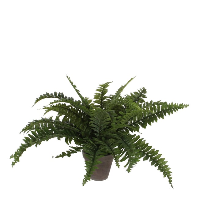 Plante artificielle BOSTON FERN Couleur vert <span itemprop=