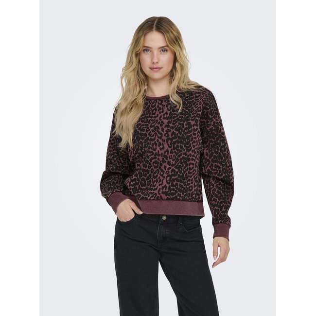 Sweat-shirt ONLY - ONLY
