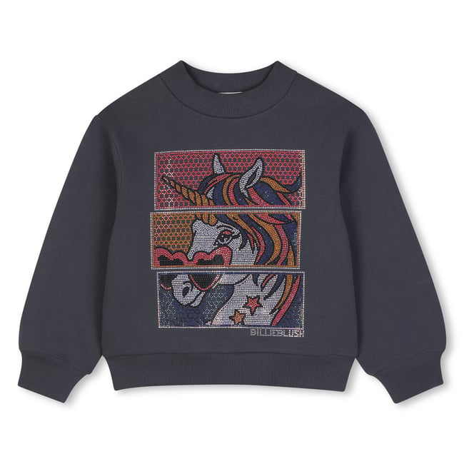 Sweat col rond asphalte <span itemprop=