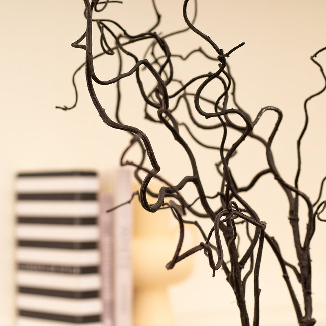 Willow twigs for sale on sale