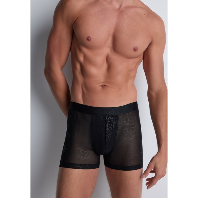 Boxer classique noir <span itemprop=