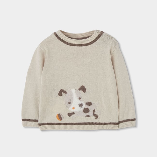 Pull bébé garçon avec imprimé chien beige <span itemprop=