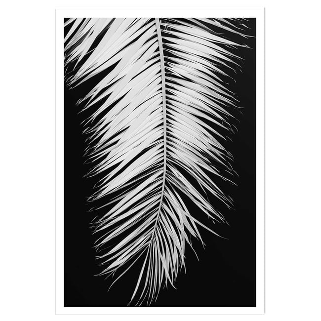 Poster palme x - HEXOA
