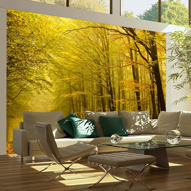 Papier peint intissé panoramique Paysage Route dans la forêt d'automne Couleur jaune / doré <span itemprop=