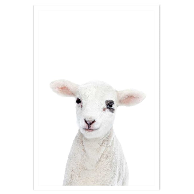 Affiche enfant bébé agneau - HEXOA