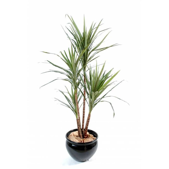 Joli faux eucalyptus en pot H 160 cm Couleur vert <span itemprop=
