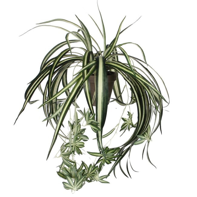 Plante artificielle CHLOROPHYTUM Couleur vert <span itemprop=