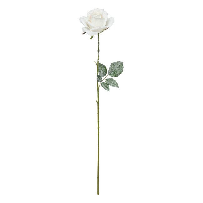 Branche rose blanc enneigée H62 Couleur blanc <span itemprop=