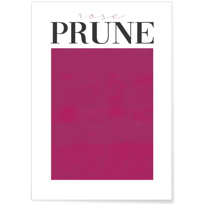 Affiche Rose prune Couleur blanc <span itemprop=