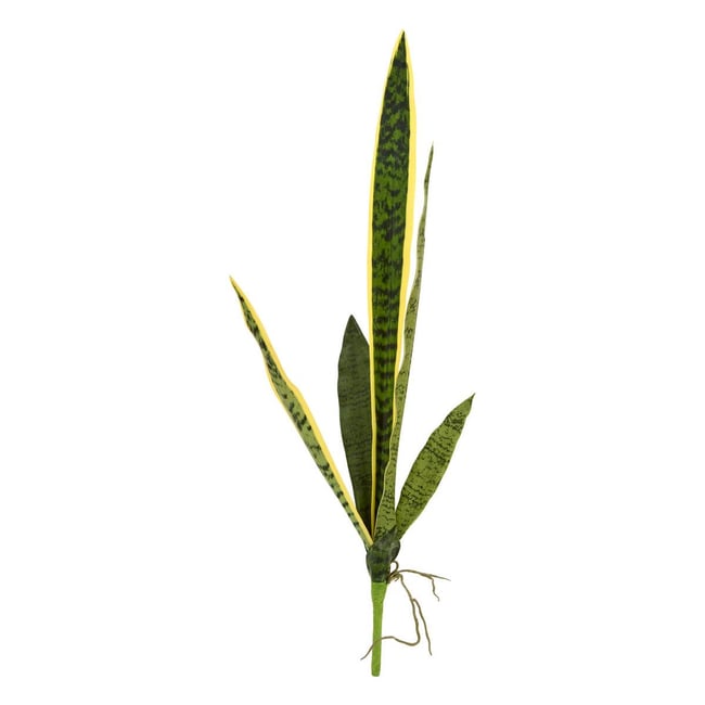 Tige de sansevieria NIPPO Couleur vert <span itemprop=
