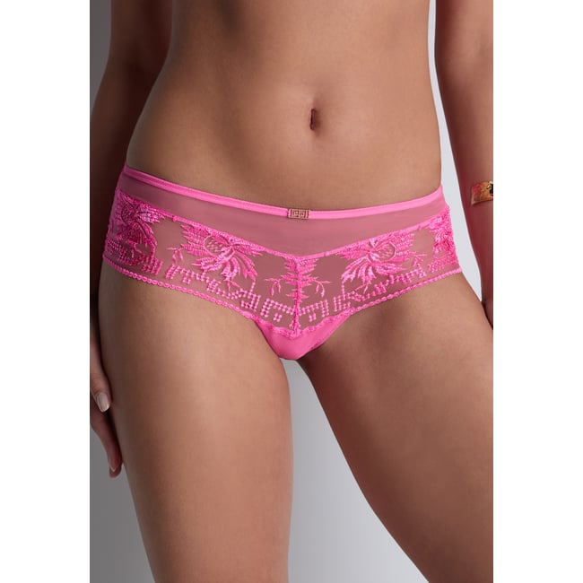 Shorty Rules of attraction rose <span itemprop=