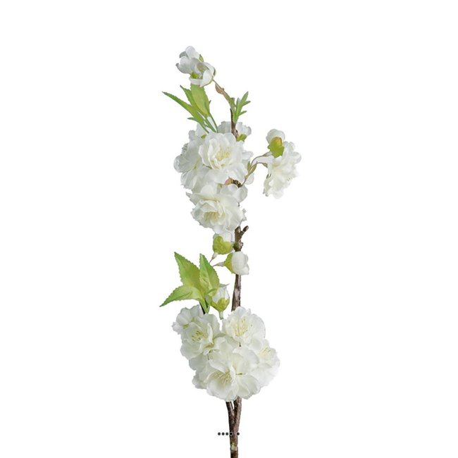 Branche Cerisier Prunus Japon factice H50cm Couleur crème <span itemprop=