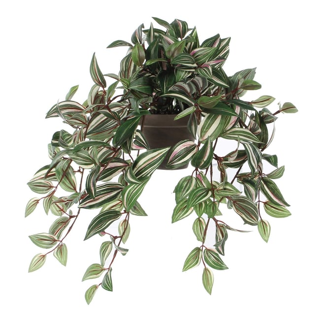 Plante artificielle TRADESCANTIA Couleur vert <span itemprop=