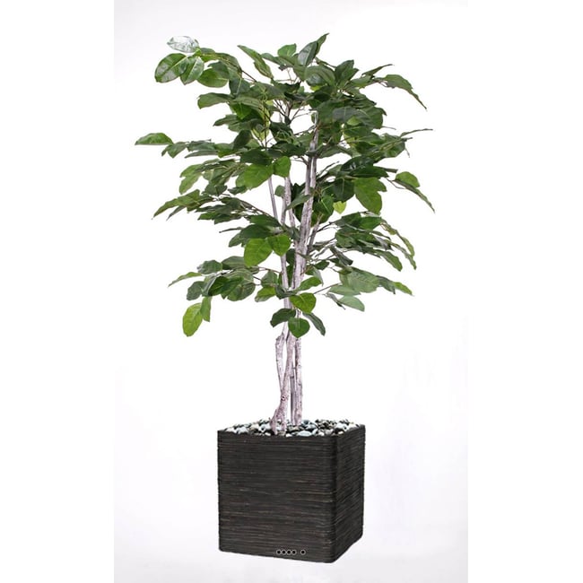 Figuier des Banyans artificiel 180 cm Couleur vert <span itemprop=