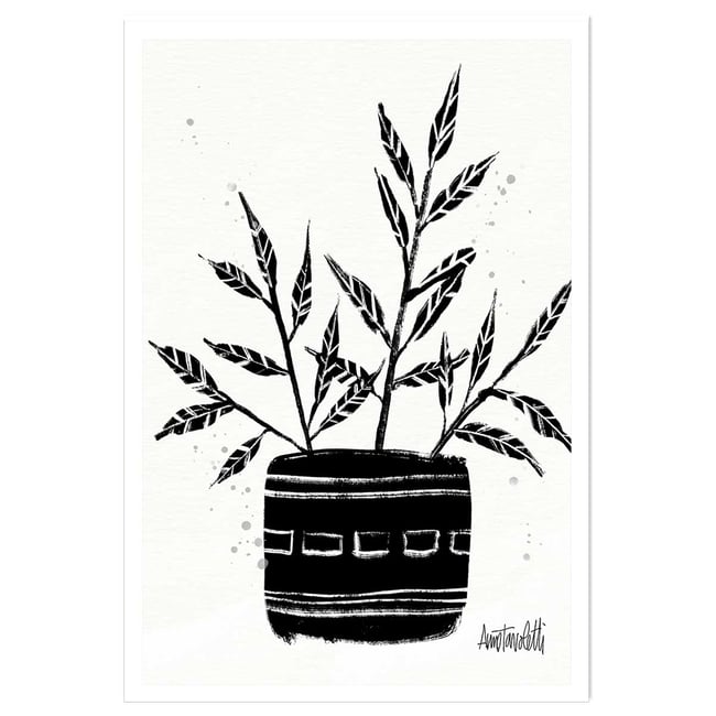 Illustration Botanique et Poterie terre cuite - HEXOA