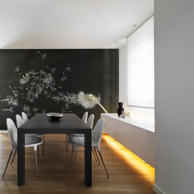 Papier peint intissé panoramique Fleurs Graines de dent-de-lion emportées par le vent Couleur noir <span itemprop=