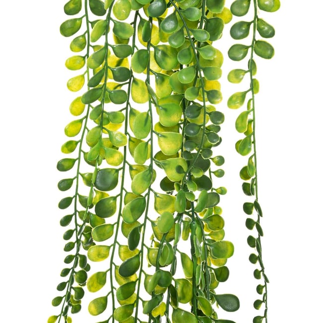 Plante artificielle tombante ALWEN Couleur multicolore <span itemprop=