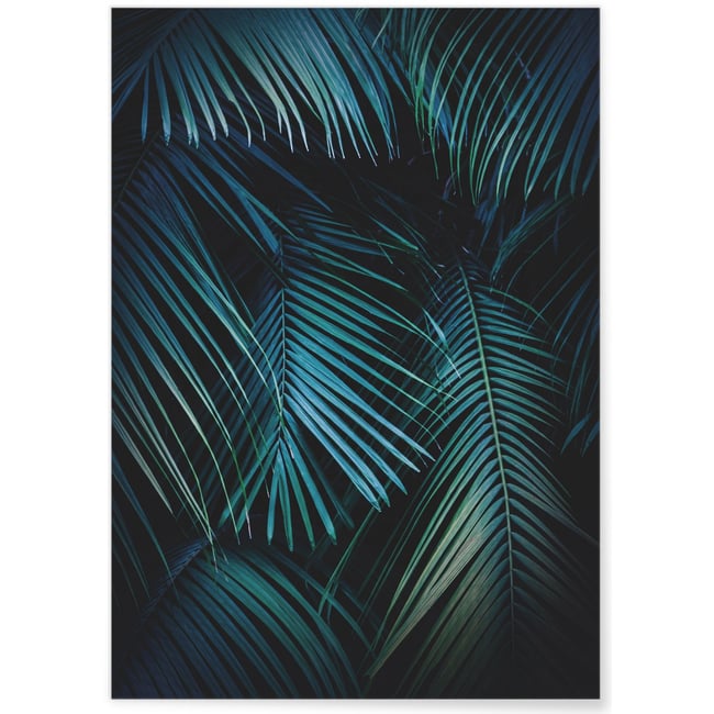 Poster Feuilles de palmier tropical verte Couleur blanc <span itemprop=