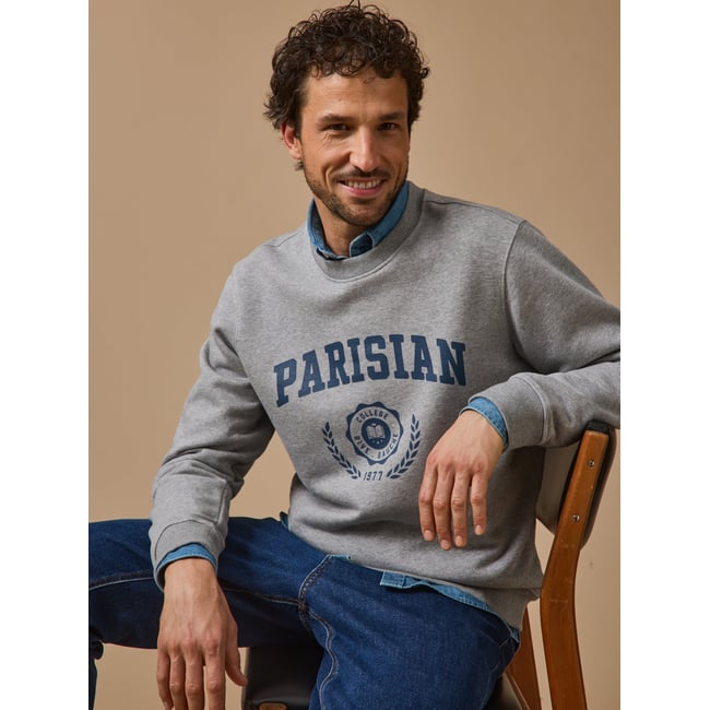 Sweat motif gris chine <span itemprop=