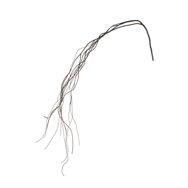 Branche tombante effet bois séché artificielle H160 Couleur marron <span itemprop=