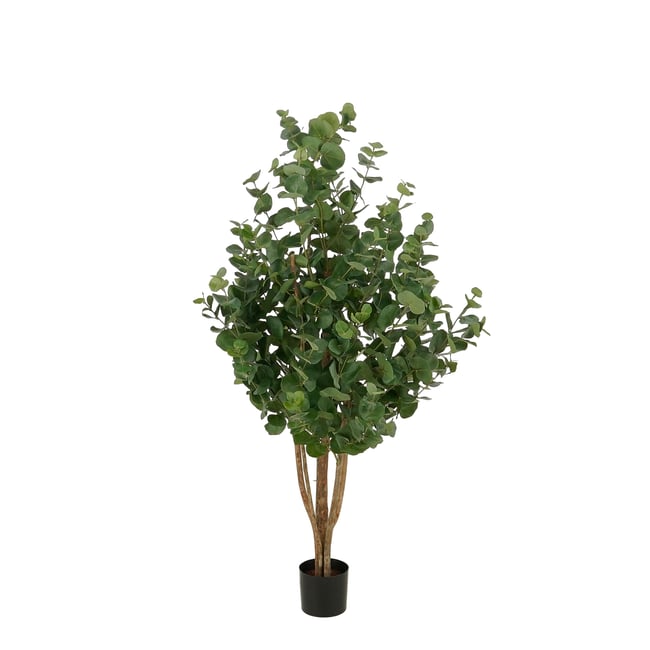 Plante artificielle EUCALYPTUSBOOM Couleur vert <span itemprop=
