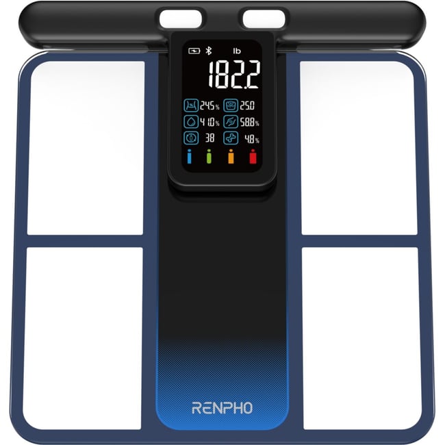 Pèse personne connecté Morphoscan MSC01 – Suivi de Morphologie Intelligent avec Écran LCD et Bluetooth -Rechargeable - RENPHO