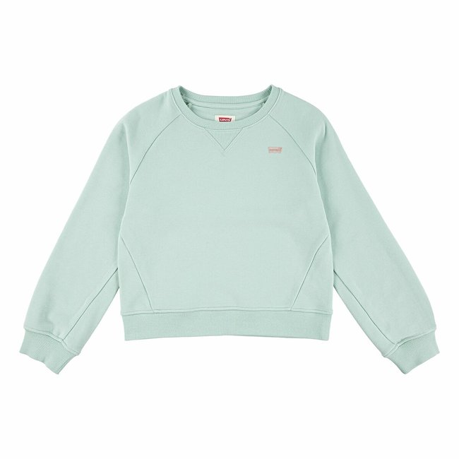 Felpa girocollo verde LEVI'S KIDS