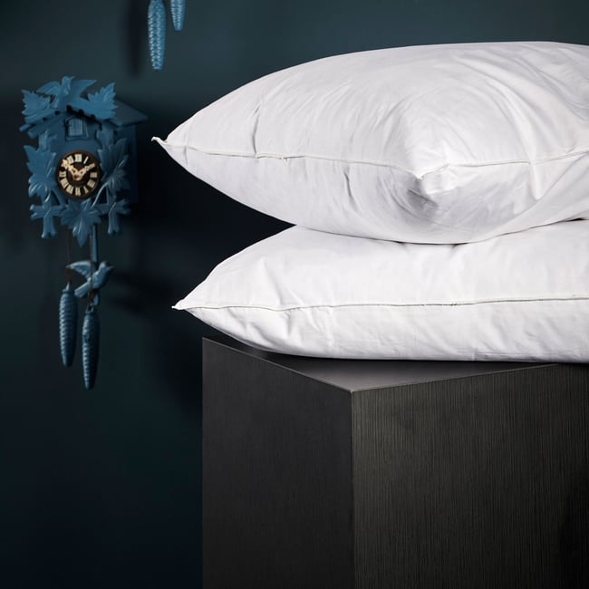 Oreiller 10% Duvet Canard - Ferme Couleur blanc <span itemprop=