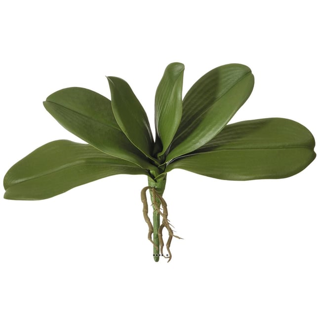 Feuillage et racines artificiels Couleur v002239 <span itemprop=