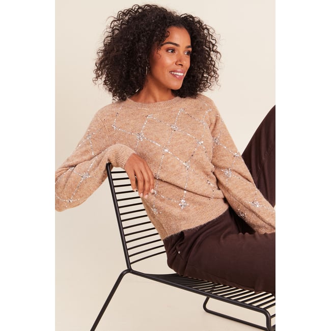 Pull col rond à sequins marron clair <span itemprop=