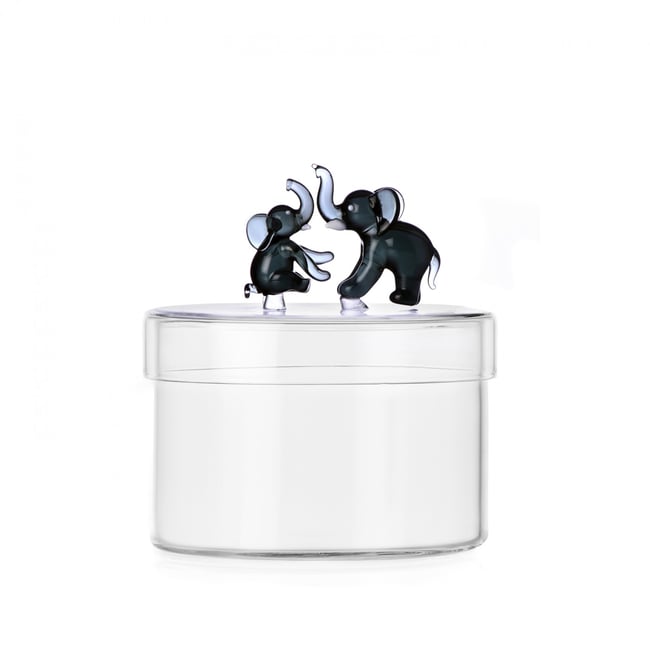 Boite Bonbonnière Elephant Tender Ties Couleur transparent <span itemprop=