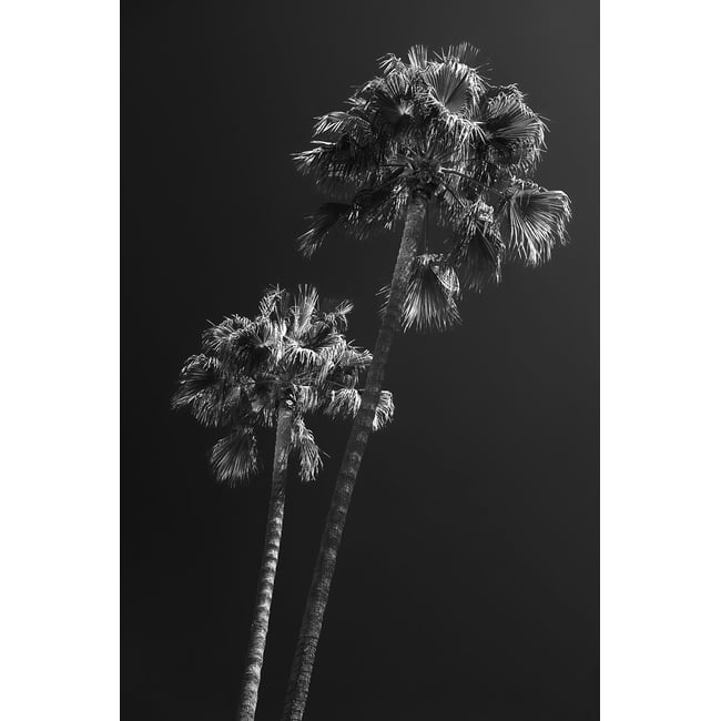 Tableau noir et blanc Ambiance Californie - HEXOA