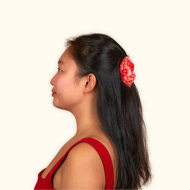 Pince à cheveux BOUCHE rouge <span itemprop=