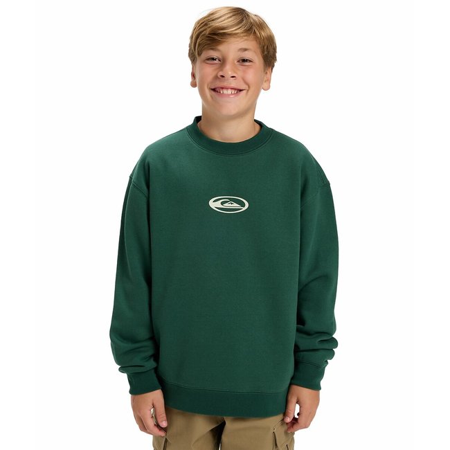 Felpa con cappuccio, felpa spazzolata verde QUIKSILVER