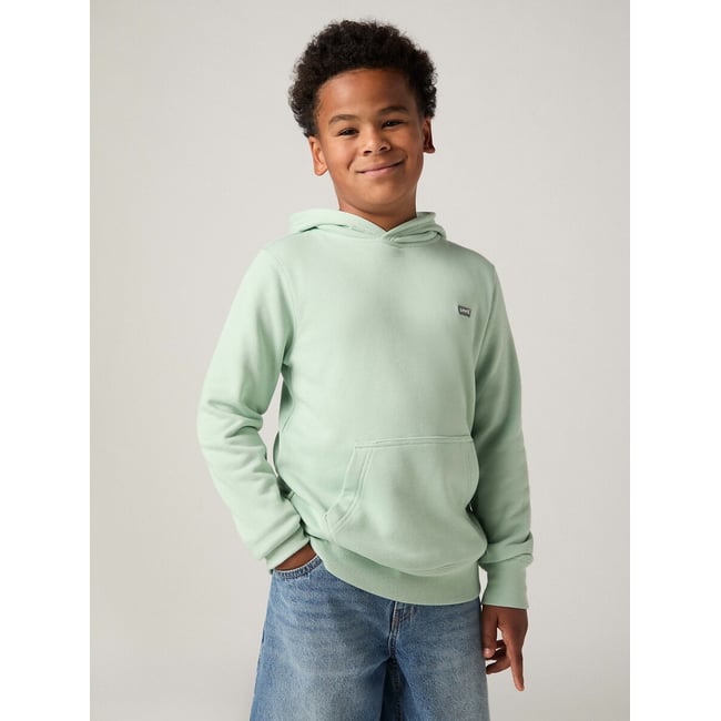 Sweat à capuche avec badge, en molleton, BATWING vert <span itemprop=