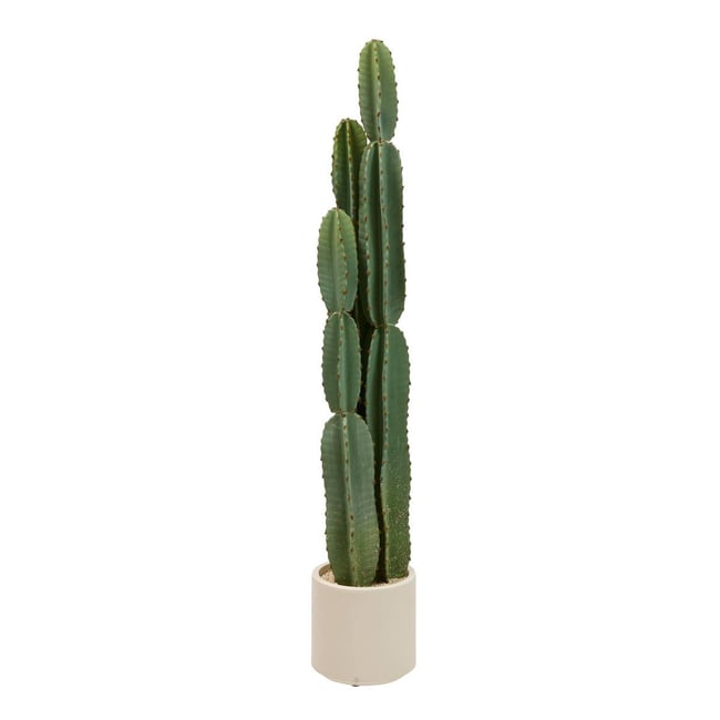 Plante artificielle cactus SIEN Couleur vert <span itemprop=