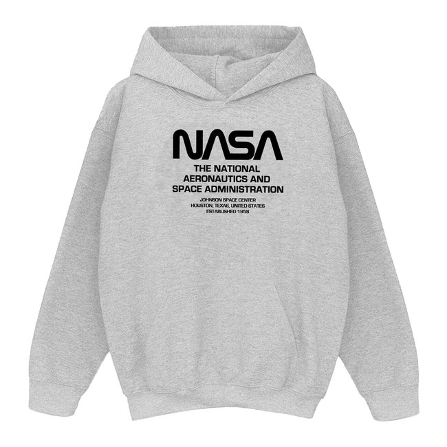 Sweat à capuche gris chiné <span itemprop=
