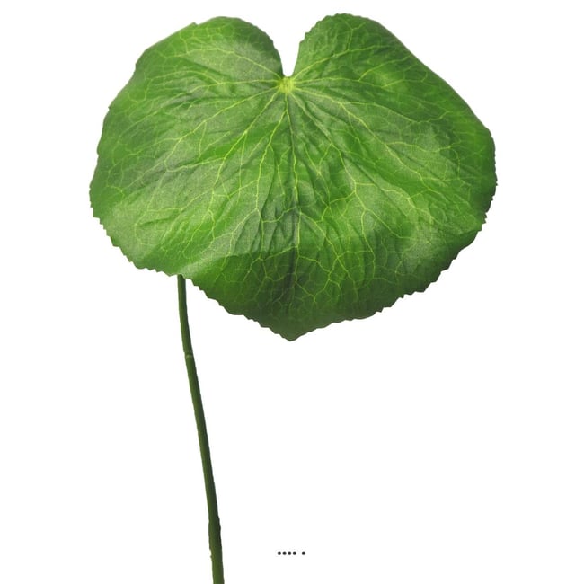 Feuilles de Galax artificielles, en lot de 1 Couleur v002239 <span itemprop=