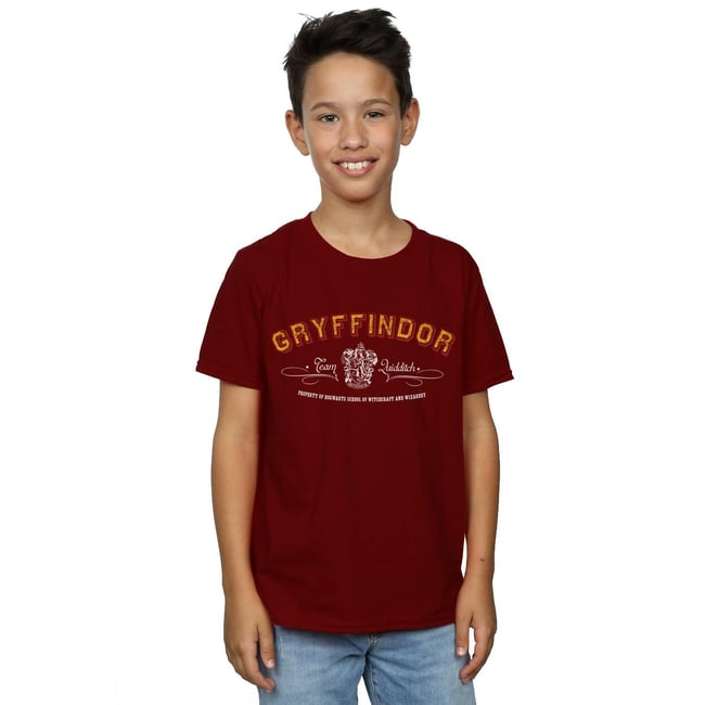 T-shirt GRYFFINDOR QUIDDITCH bordeaux <span itemprop=