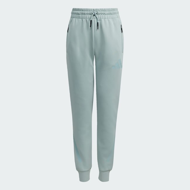 Pantalon Jambes Fuselées Adidas Z.n.e. Pantalon Jambes Fuselées Adidas Z.n.e. wonder sage / tactile green <span itemprop=
