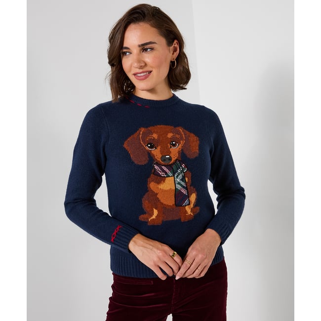Pull Brodé Teckel Trixie bleu <span itemprop=