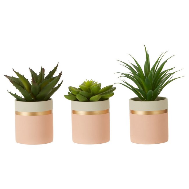 Set of 3 Artificial Succulents in Pink/Gold Ceramic Pot, pink, SO'HOME