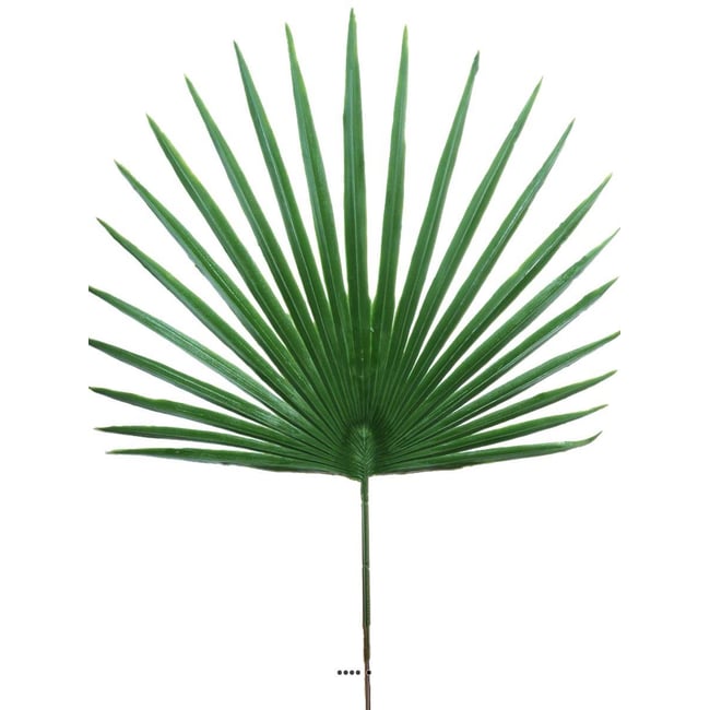 Feuille palmier Chamaerops artificielle H 53 - ARTIFICIELLES