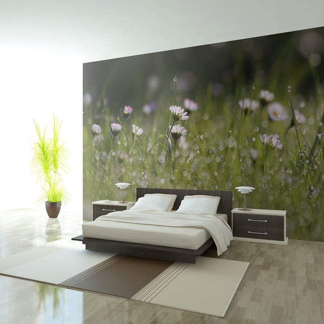 Papier peint intissé panoramique Fleurs Marguerites et la rosée du matin Couleur blanc <span itemprop=
