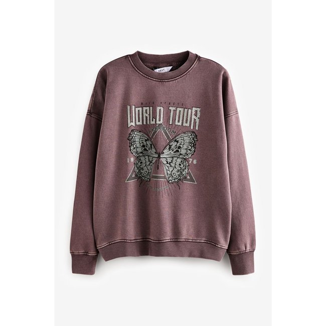 Sweat ras du cou délavé motif papillon violet <span itemprop=