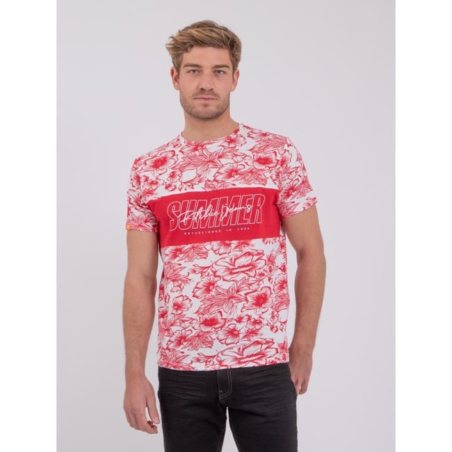 T-shirt Manches Courtes Col Rond Pur Coton Noliba - RITCHIE