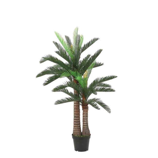 Plante artificielle CYCAS Couleur vert <span itemprop=