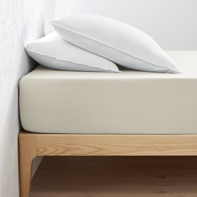 Drap housse jersey coton, bonnet 30cm, Scenario - LA REDOUTE INTERIEURS