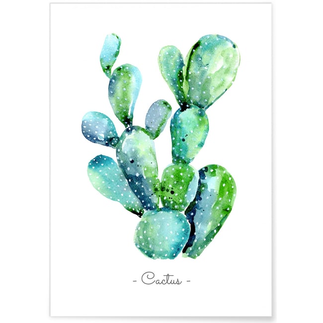 Poster Cactus aquarelle Couleur blanc <span itemprop=