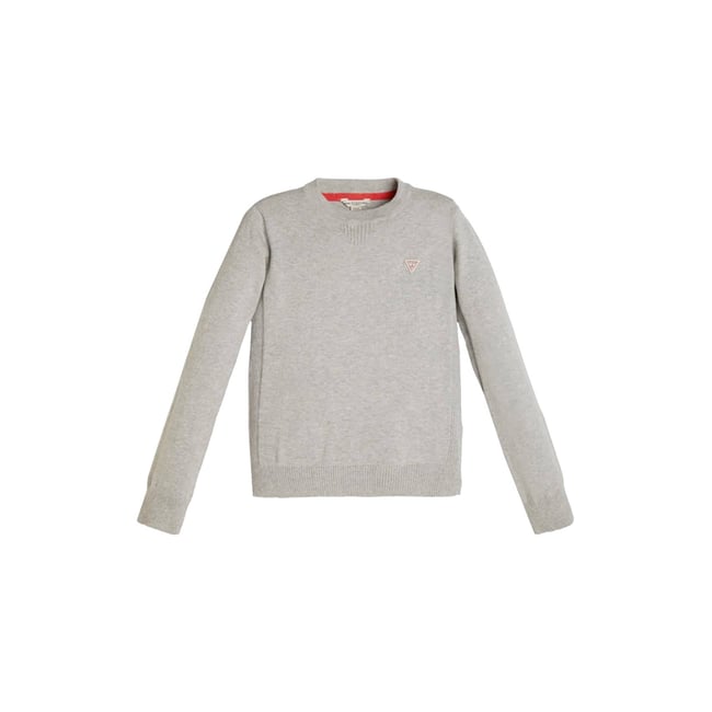 Pull Logo Marque gris <span itemprop=